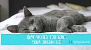 How Would You Build Your Dream Bed? (AD)