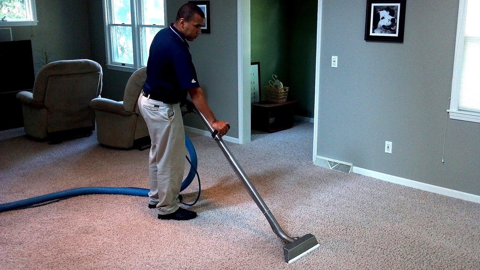 Professional Carpet Cleaners Prices Professional Choices