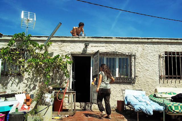 wwoof wwoofing