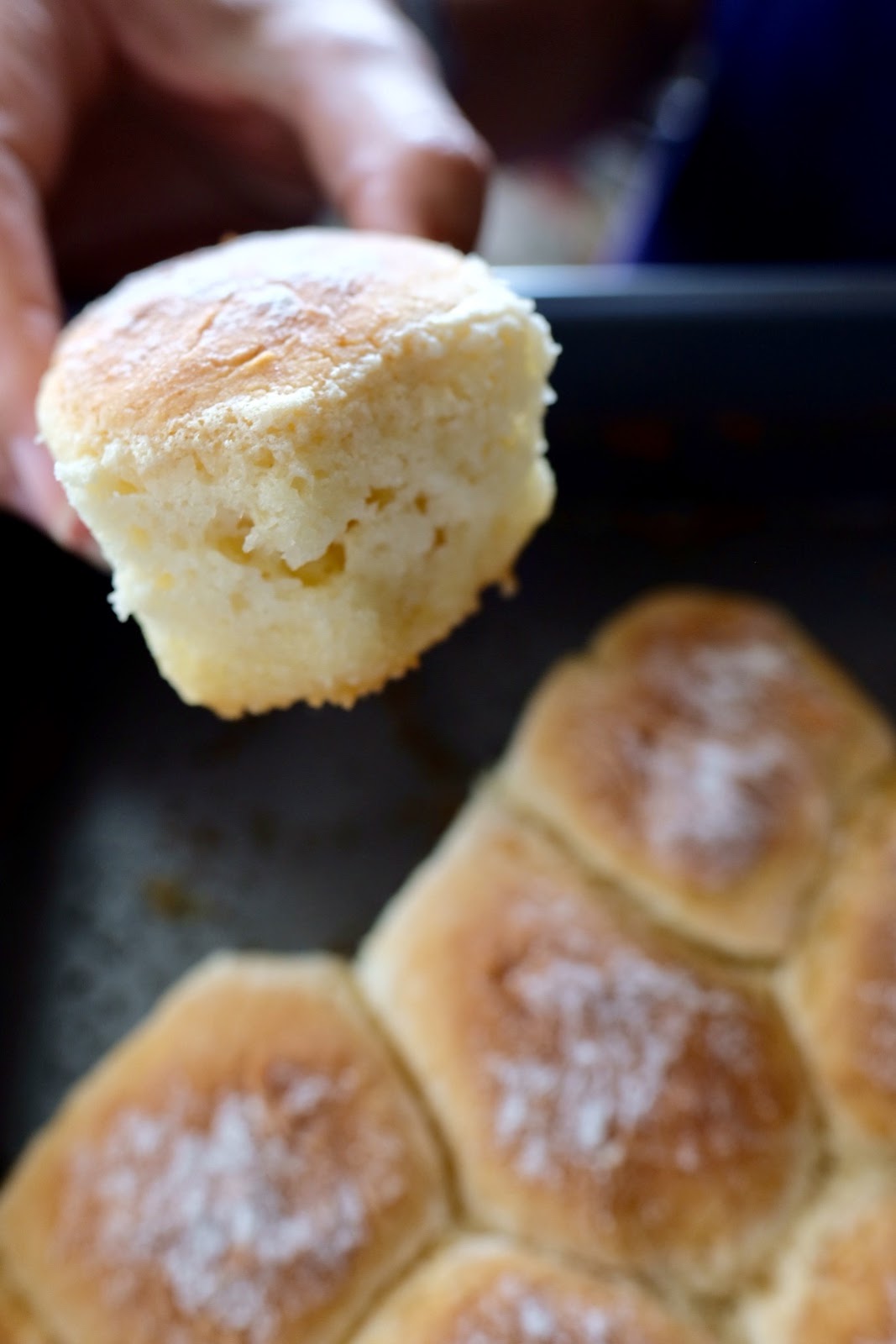 kruizing with kikukat Toaster Oven Food Buttery Pan Biscuits