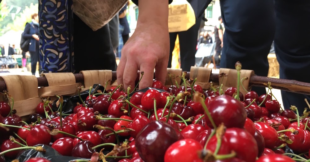 El Regato celebra su Fiesta de la Cereza el 1 de junio con exposición