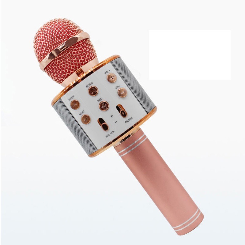 WS-858 Wireless Karaoke Microphone | Risa Online Shopping Mart