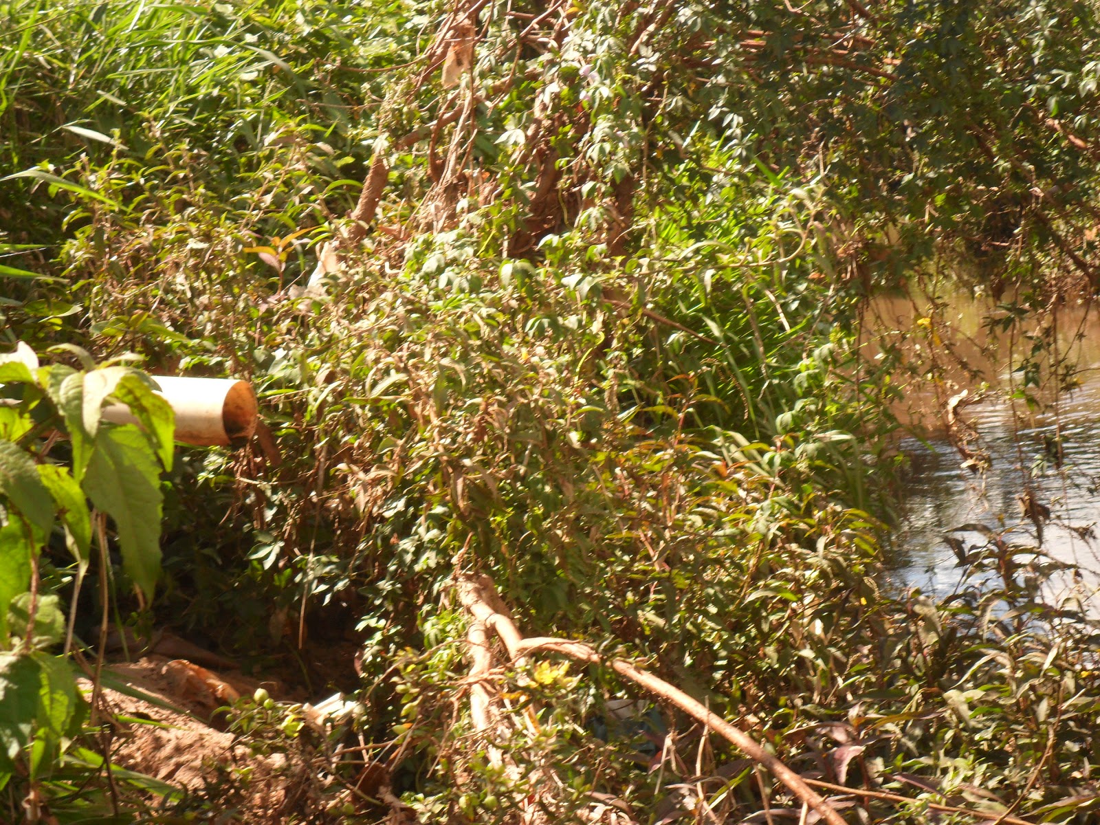 darsony-chaves-impactos-ambientais-provocados-pela-ocupa-o-irreguar