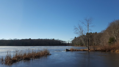 frozen pond at DelCarte