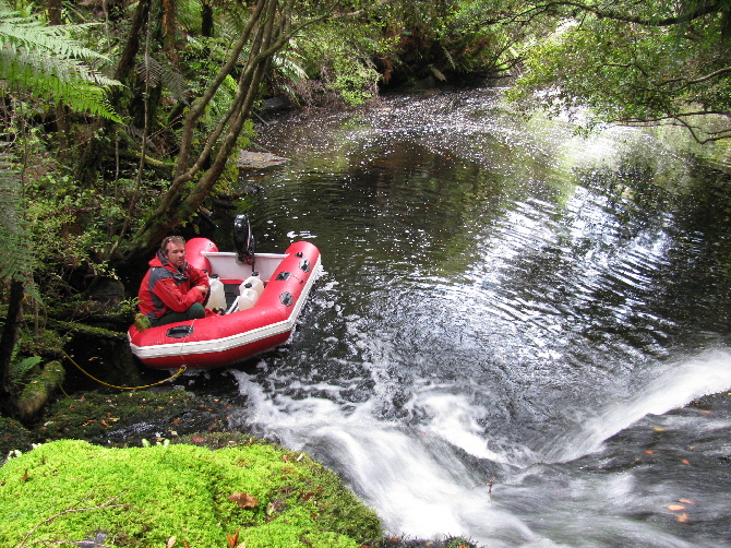 SY Sophia Stewart Island part 7, dinghy expeditions