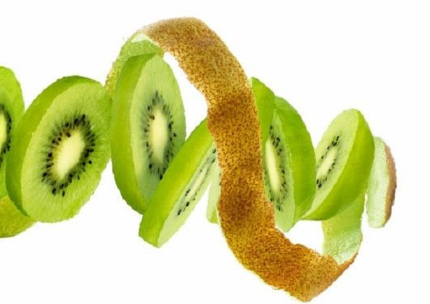 Image result for kulit buah kiwi