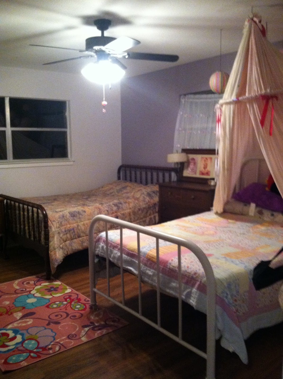 the Plain Professors Hang Stuff From the Ceiling Classroom