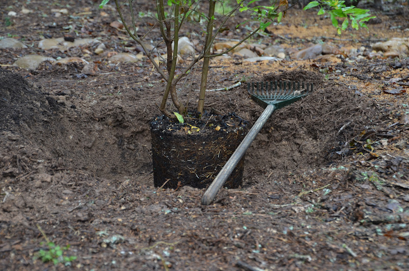 Garden Ally It�s Wonderful