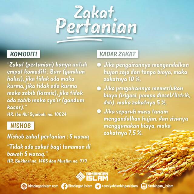 ZAKAT PERTANIAN DARI LAHAN YANG DISEWAKAN | Kajian Hasan Hamzah Lubis