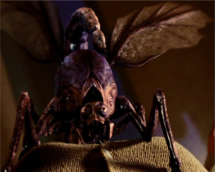 Scorpion-Flies_01.jpg