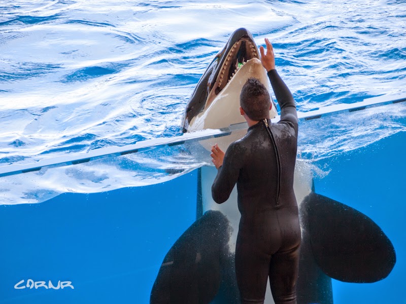 Loro Parque