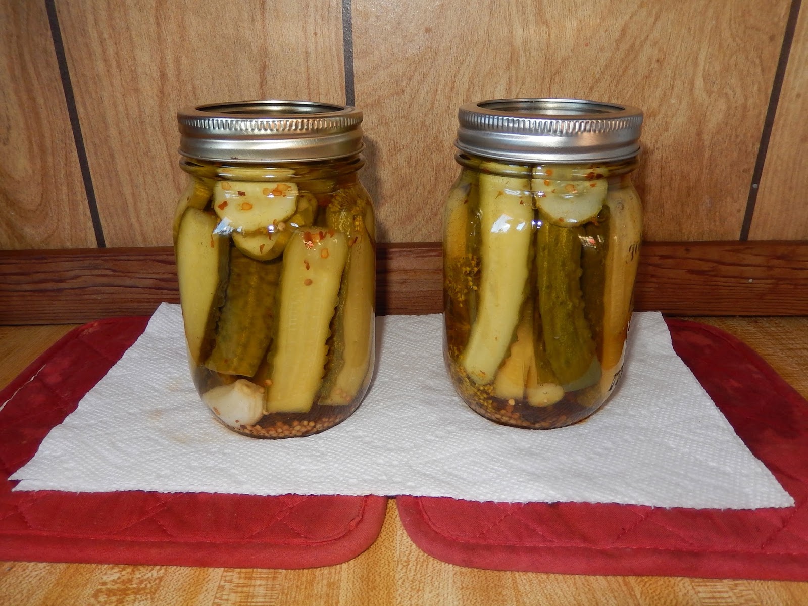 Powell River Books Blog Canning Homemade Garlic Dill Pickles