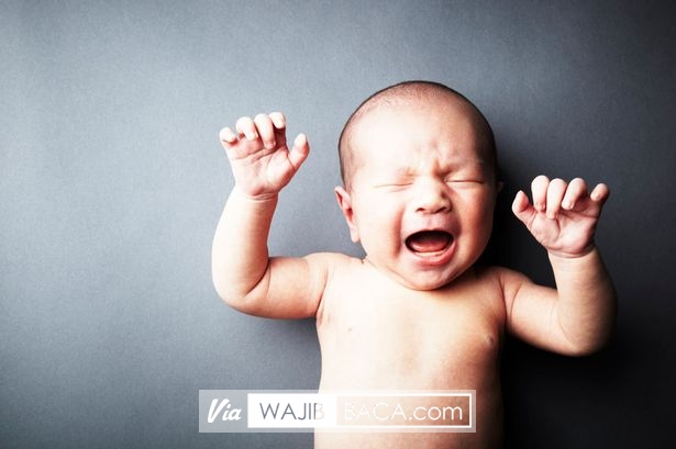 Jangan Sampai Direbut Oleh Pengasuh, Ini Tanda Bayi Percaya yang Seharusnya Ibu Ketahui! Jangan Sampai Direbut Oleh Pengasuh, Ini Tanda Bayi Percaya yang Seharusnya Ibu Ketahui!