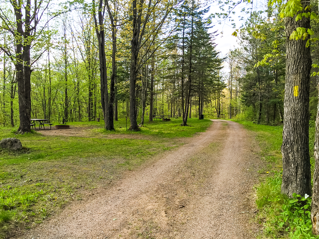 The trail runs through campgrounds at Camp New Wood County Park