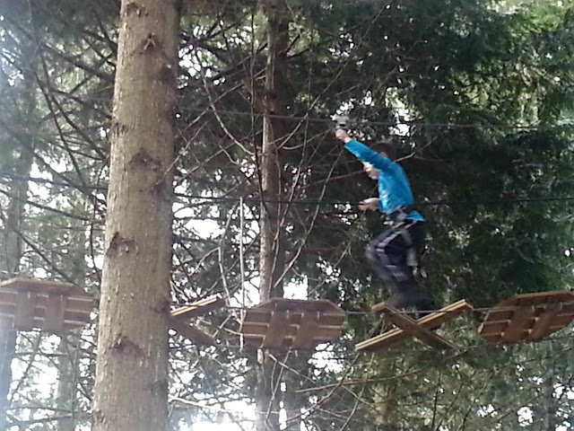 Boy on the Go Ape in the Trees, Forest of Dean
