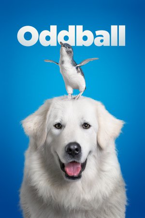 Oddball e os Pinguins Torrent – BluRay 720p e 1080p Dual Áudio (2016)