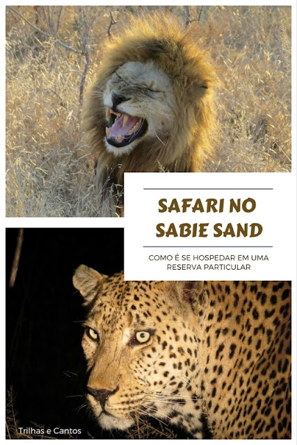 safari Àfrica do Sul