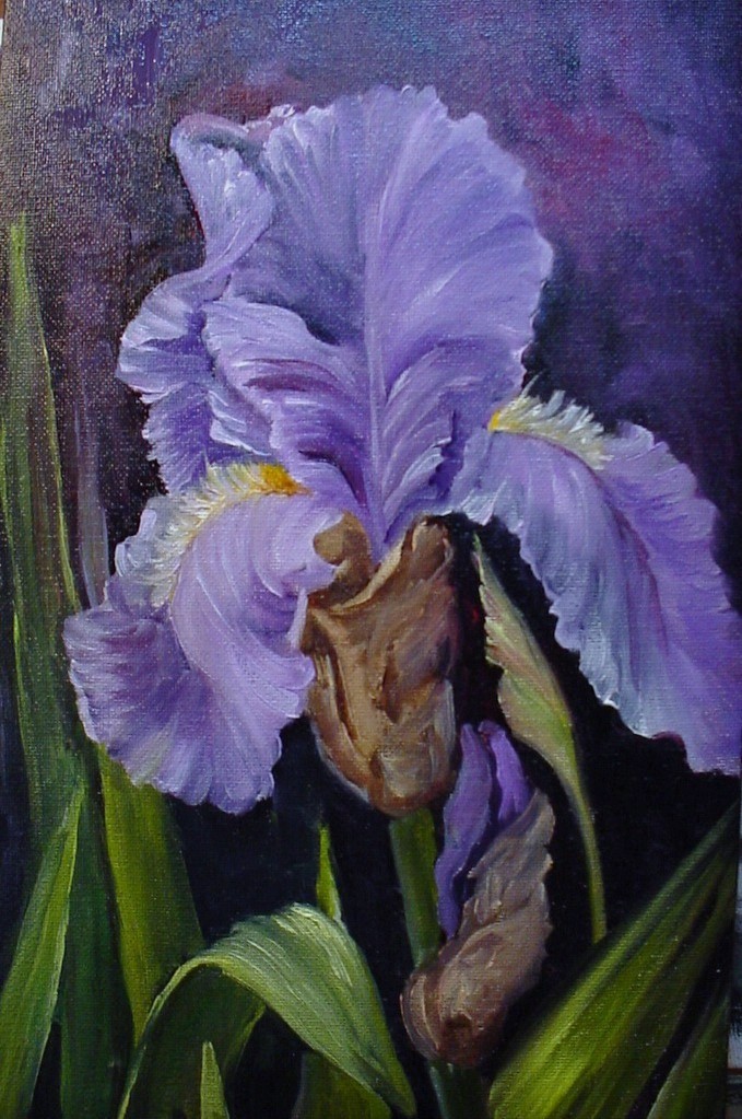 Artists Of Texas Contemporary Paintings and Art Purple Iris oils