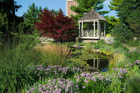 Garden Bloggers Fling Allen Centennial Garden A Small Gem In The