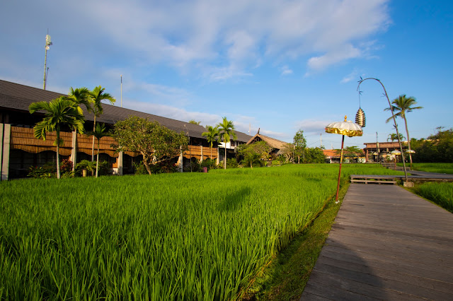 Alaya Ubud Resort, Ubud-Bali