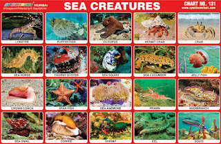 Sea Creatures Charts contains images of water creatures