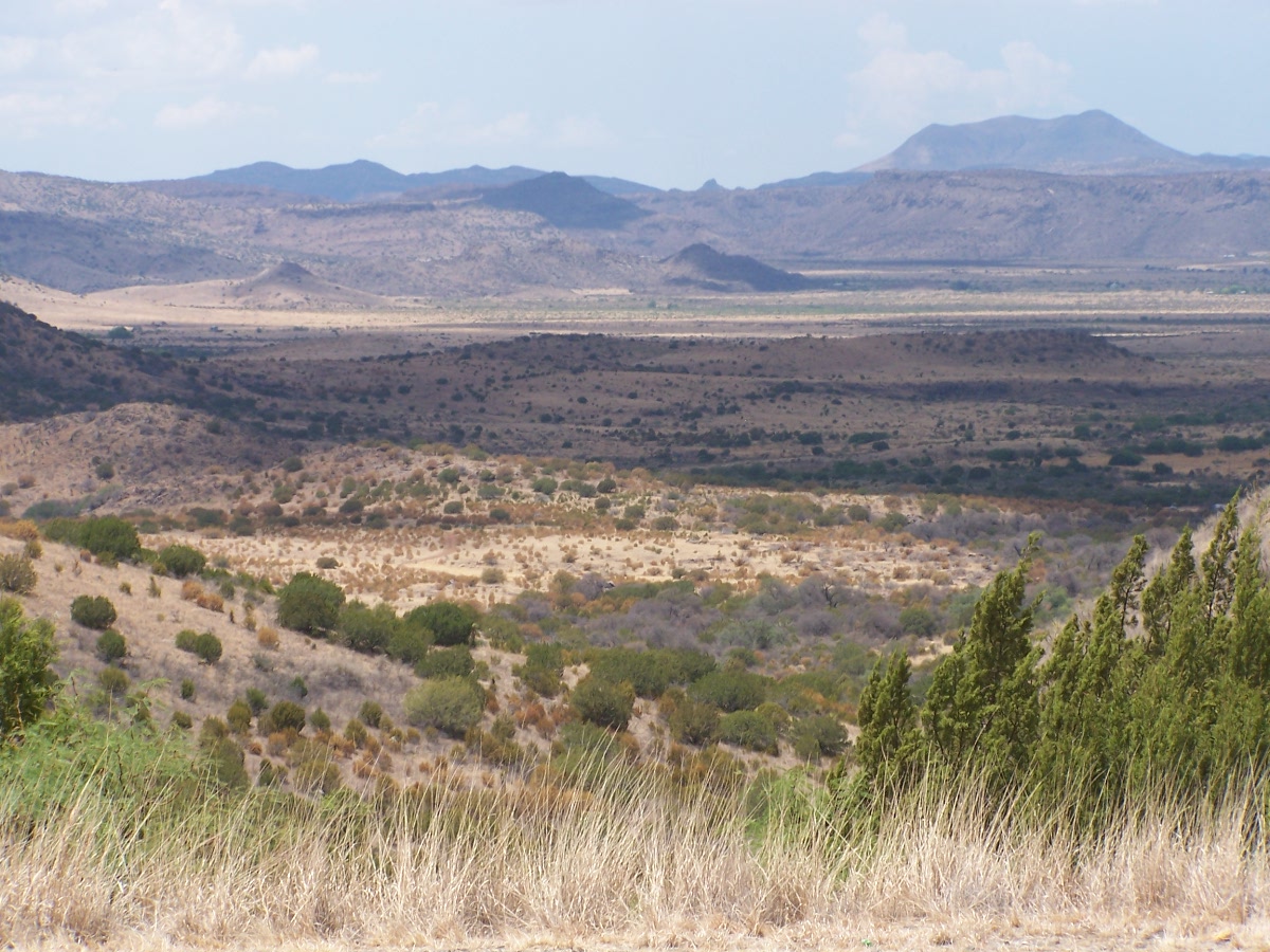 The Desert Dwellers Alpine, Texas
