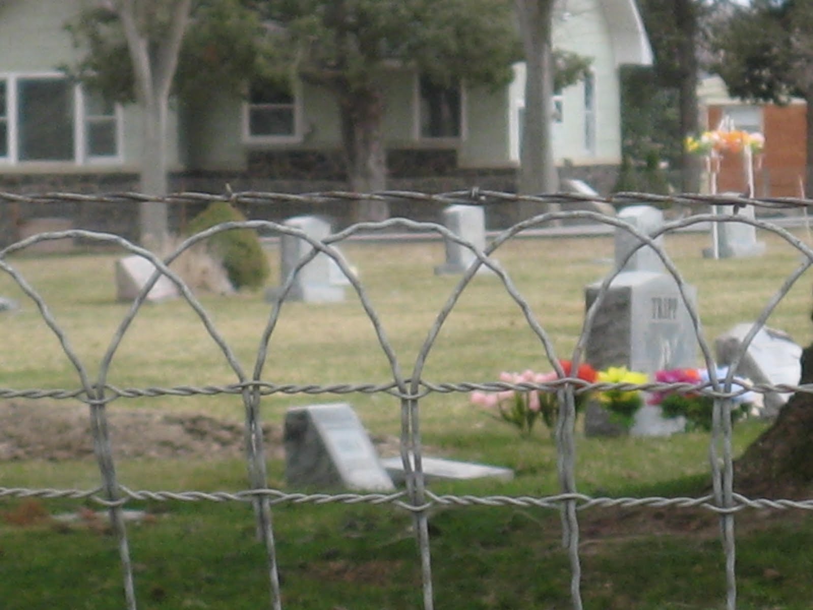 Shell's Photo Album Arimo, Idaho