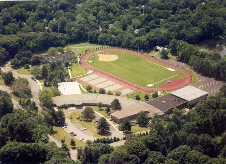 MEC&F Expert Engineers Cablevision contractor died during