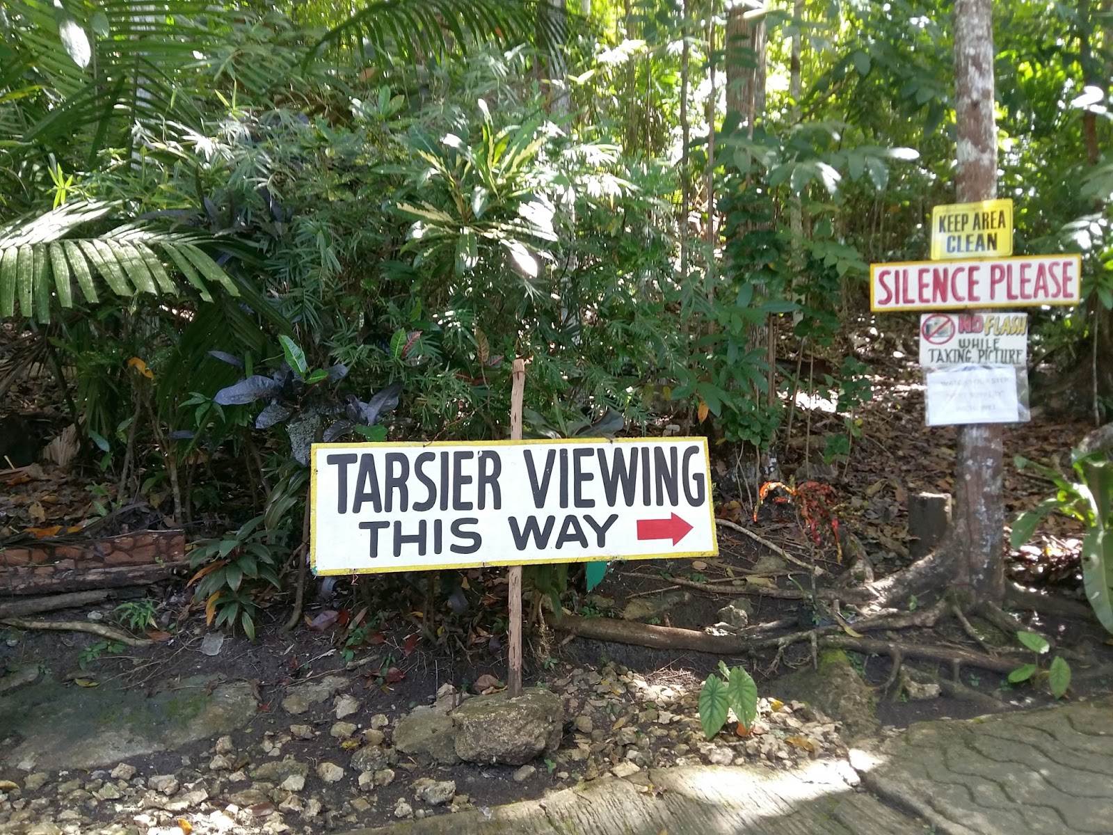 ПОЕХАЛИ!!!!!!! На Филиппинах нах и в восхитительных