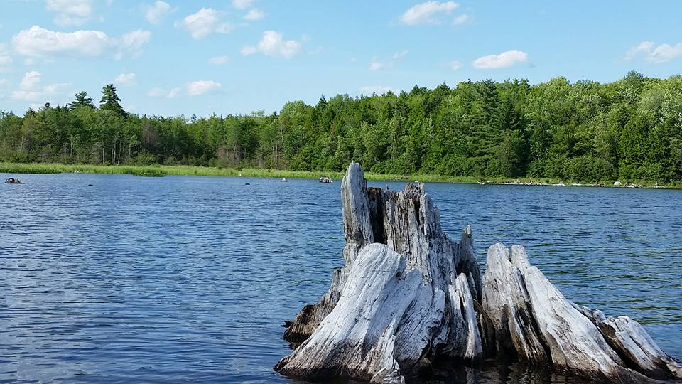 Recreational Kayaking in Maine Stump Pond, Lincoln Maine