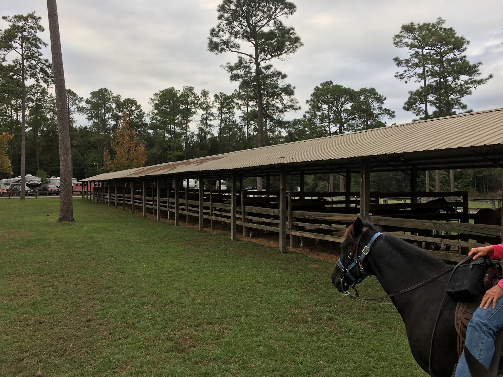 Coldwater Equestrian Campsite and Trails (Milton, Florida)
