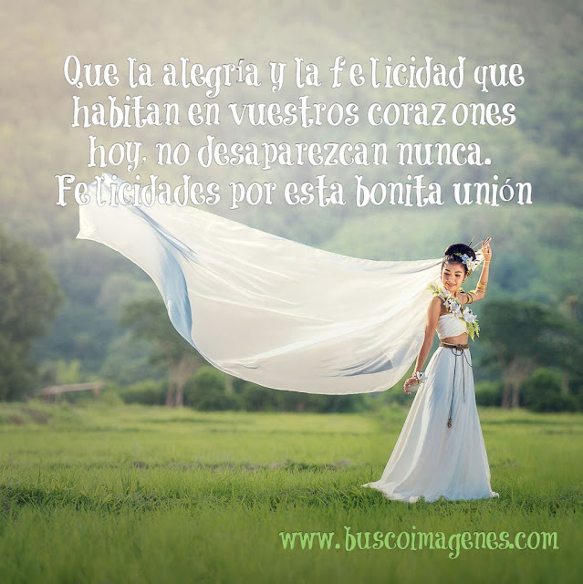 bodas bodas