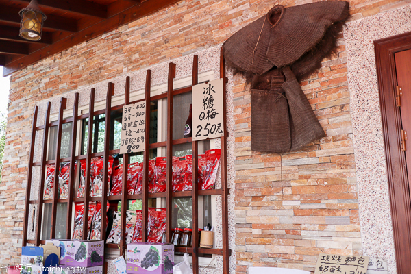 新社梅花隧道、小木屋鮭魚葡萄、梅花森林,台中賞梅花好去處 新社梅花隧道、小木屋鮭魚葡萄、梅花森林,台中賞梅花好去處