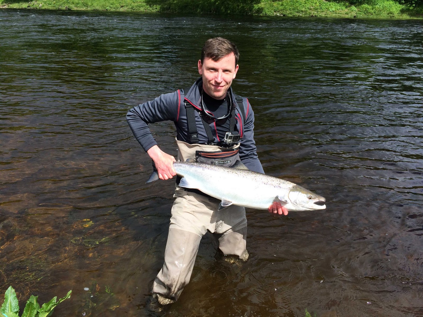 Salmon Fishing Scotland. Salmon Fishing Scotland Tay, Perthshire