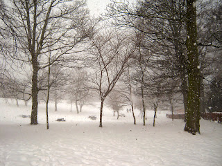 A snow covered Heaton Park