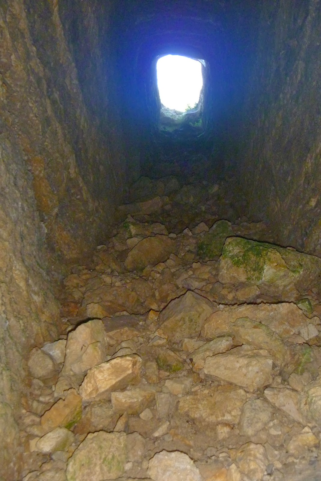 ALHAMA COYM La Selva y Sierra del Cambrón