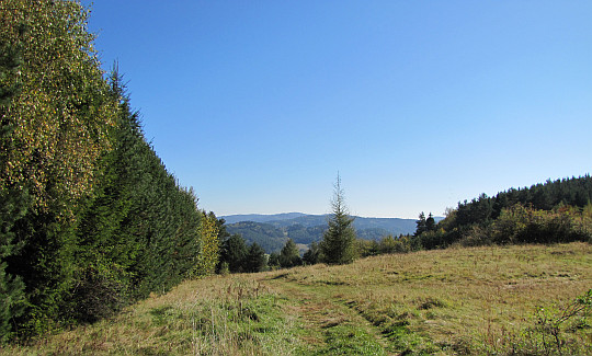 Łąka na przełęczy pomiędzy Krzyżową i Holicą. Widok w kierunku wschodnim.