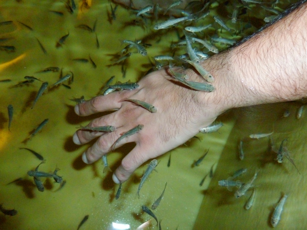 Q8 Rain Let The Fishes Eat Your Feet, IT'S FUN