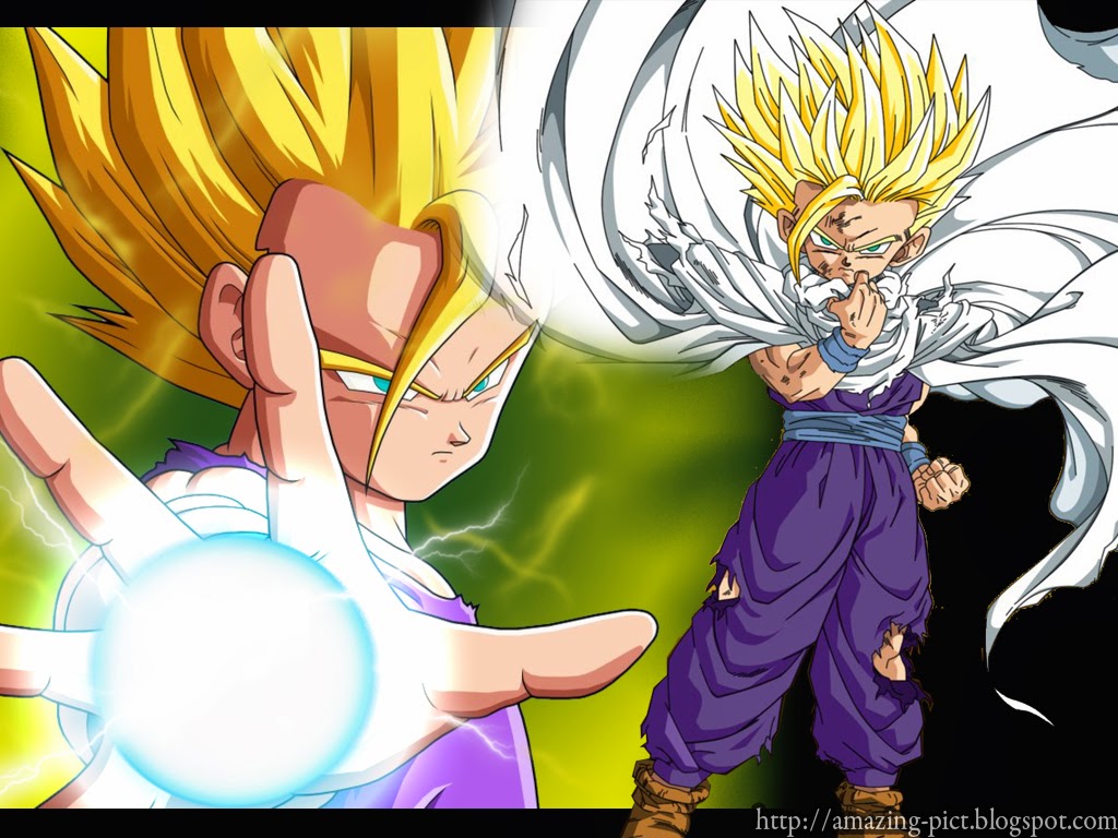 gohan dragon ball z 2880x1800 wallpaper 92202 filesize 800x500 121k