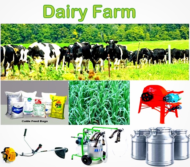 CR Business Solutions PROJECT PROFILE (58) DAIRY FARM