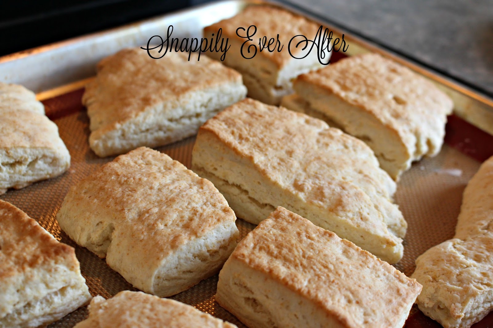 Snappily Ever After Easiest Freezer Biscuits