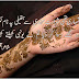 2 Lines Urdu Poetry 2013 Collection