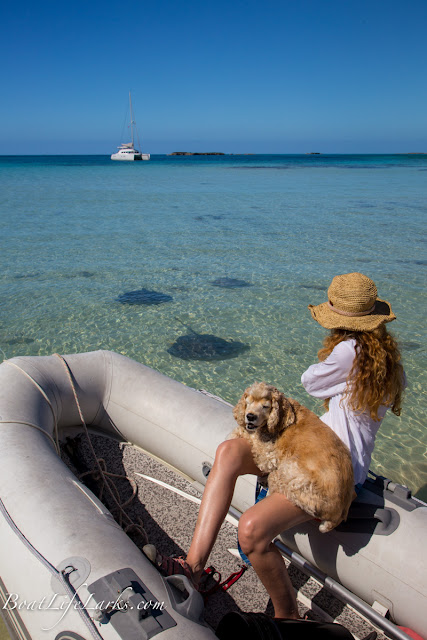 Dinghy with stingrays, sailboat at anchor, Honeymoon Harbor, Gun Cay, Bimini Islands, Bahamas