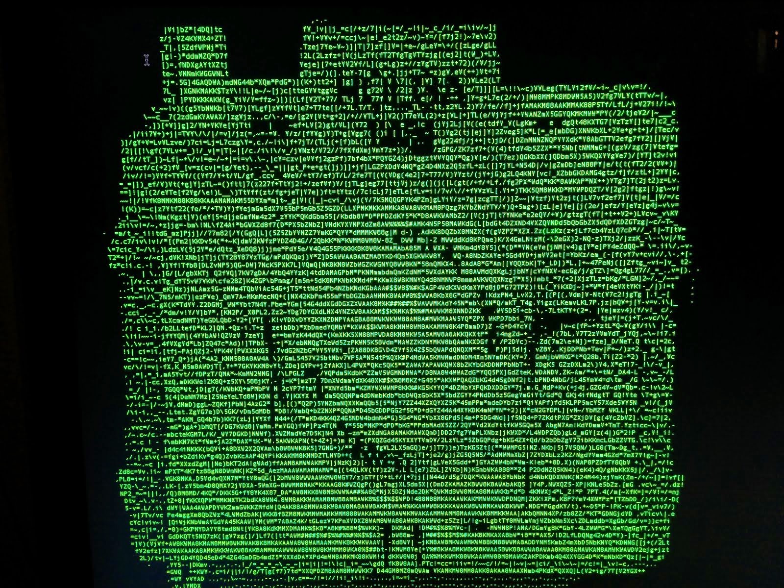 Holga 120d ASCII camera