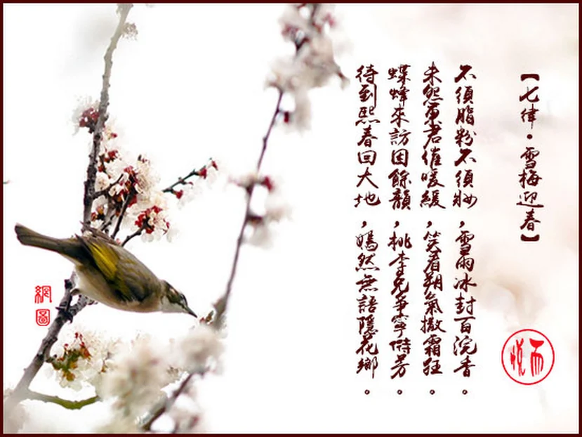 七律‧雪梅迎春