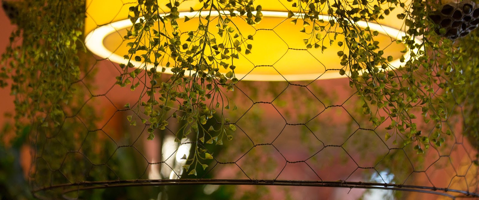 Cheap Flower Delivery Melbourne Let Brighton Florist Help You to Make