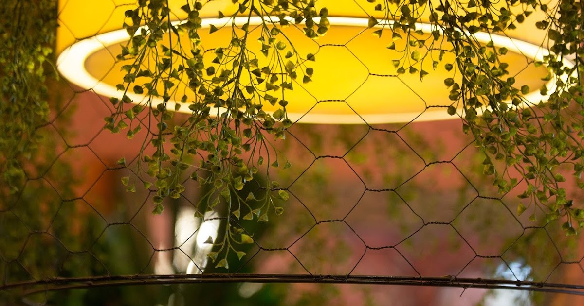 Cheap Flower Delivery Melbourne Let Brighton Florist Help You to Make