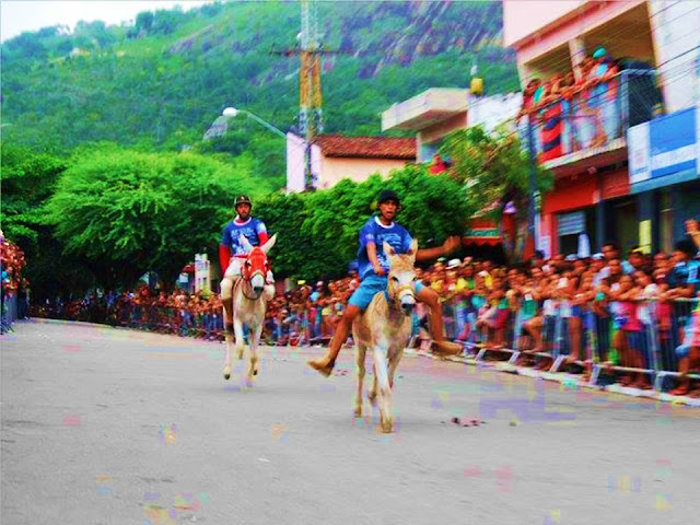 Corrida de Jericos - Festival Nacional de Jericos 2016