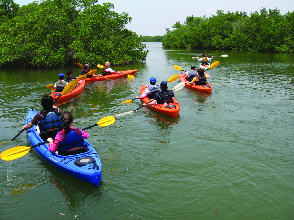Space Coast Life: Kayak Manatee Cove