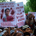 Suu Kyi Rejects UN's Decision to Investigate Crime Against Rohingya Muslims